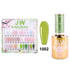 J&W Spring Collection (Box of 36)
