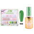 J&W Spring Collection (Box of 36)